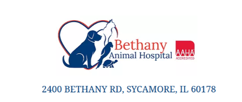 Bethany Animal Hospital