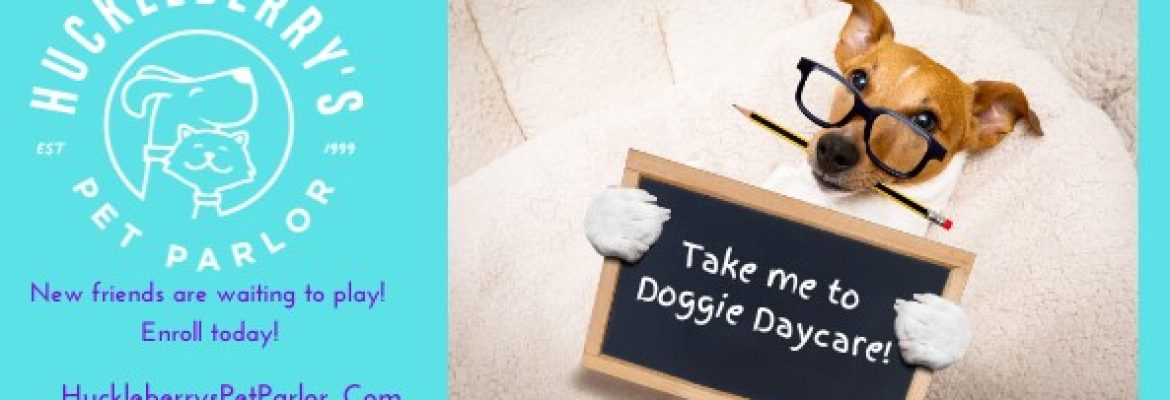 Huckleberry’s Pet Parlor