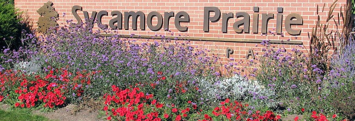 Sycamore Prairie Business Park