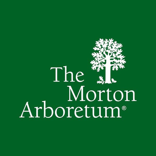 Northern Illinois Staycation- Morton Arboretum