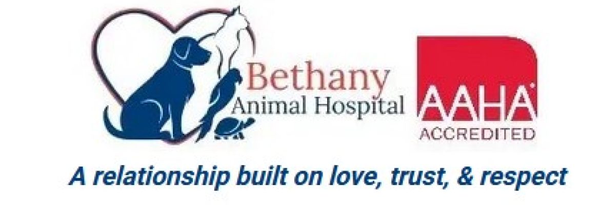 Bethany Animal Hospital
