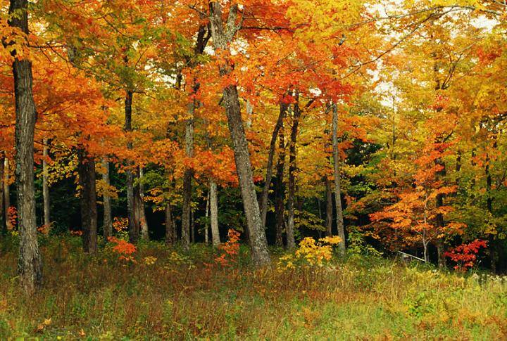 Welcome to October - the Colorful Start of Fall