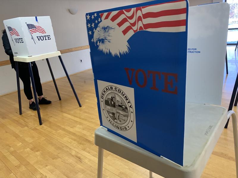 From The Pandemic To Protests: 2020's Biggest Issues Are Pushing DeKalb County Voters To The Polls