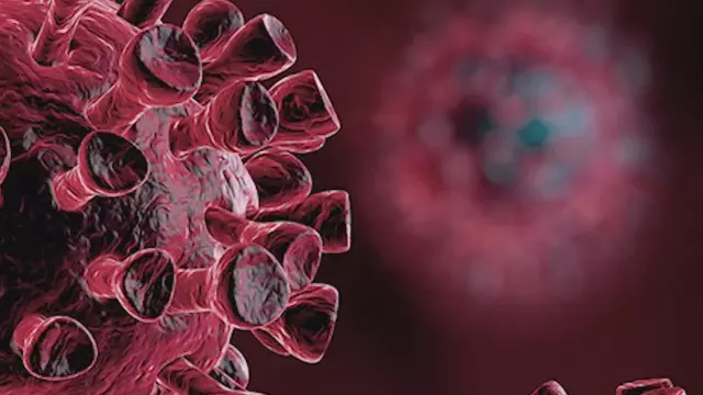 Illinois reports biggest spike in COVID-19 deaths since May