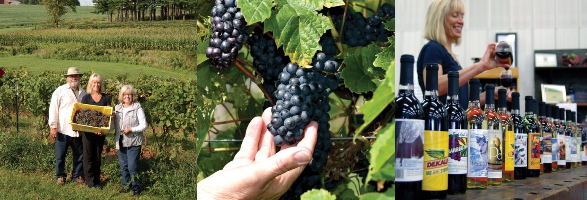 Waterman Winery & Vineyards, Inc.