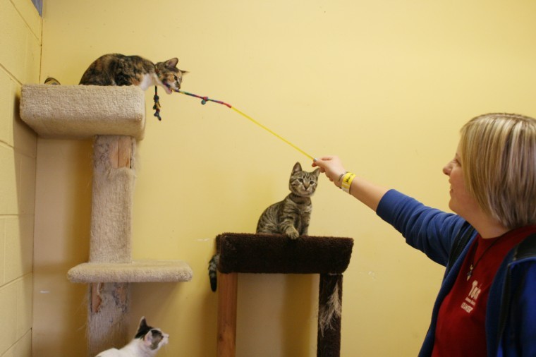 Ways to volunteer, socially distanced