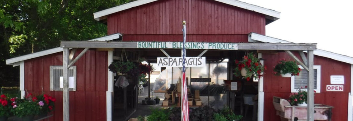 Bountiful Blessings Farm