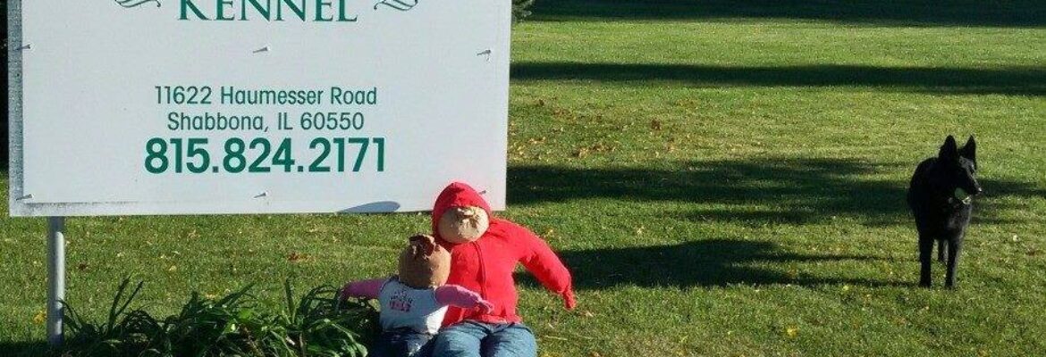 The Grateful Dog Kennel