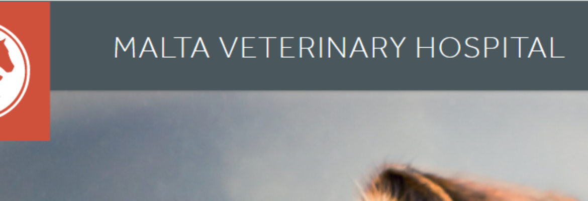 Malta Veterinary Hospital