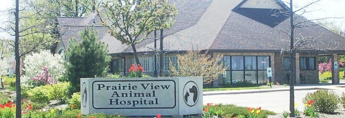 Prairie View Animal Hospital