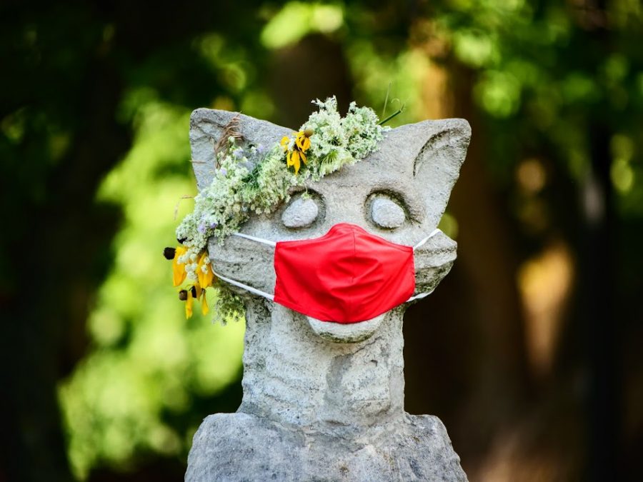 No additional students test positive for COVID-19, 3 students recover