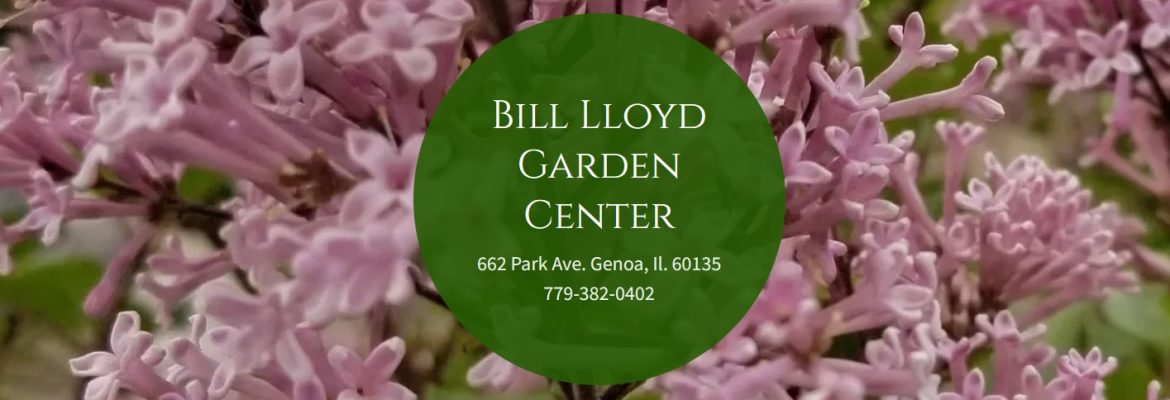 Bill Lloyd Landscaping and Garden Center