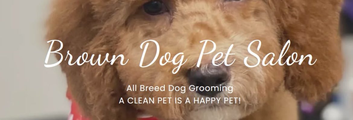 Brown Dog Pet Salon – Somonauk