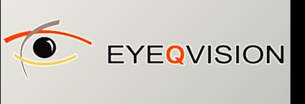Eye Q Vision