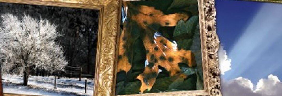 Franklin’s Frames and Art