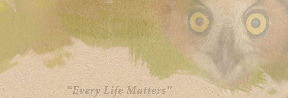 Oaken Acres Wildlife Center