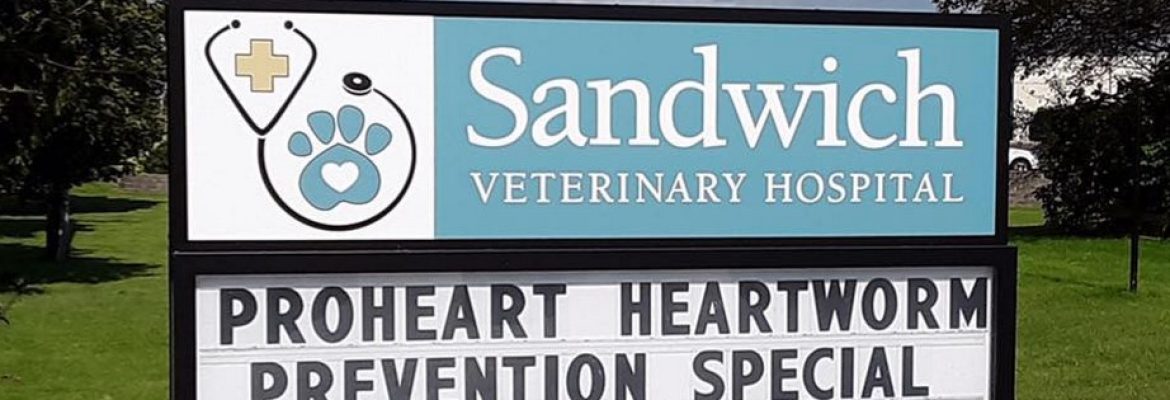 Sandwich Veterinary Hospital