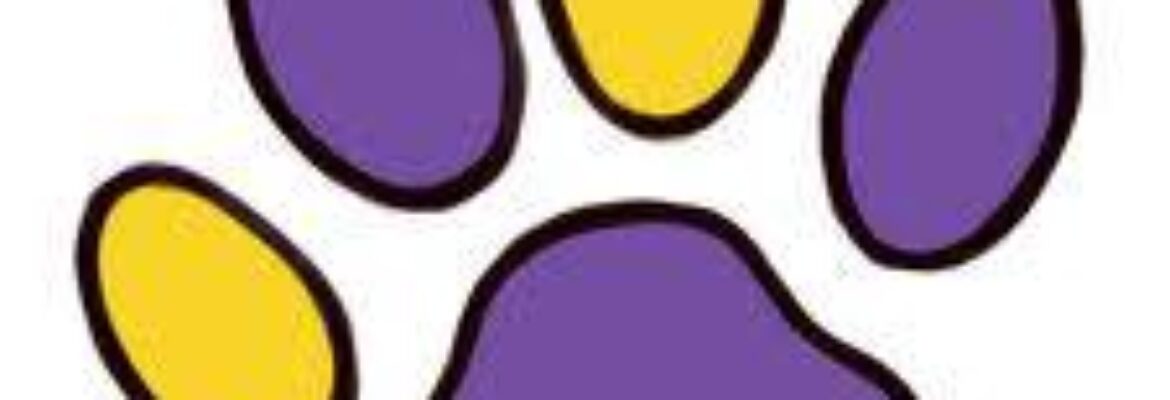 Fixin’ Feral Felines