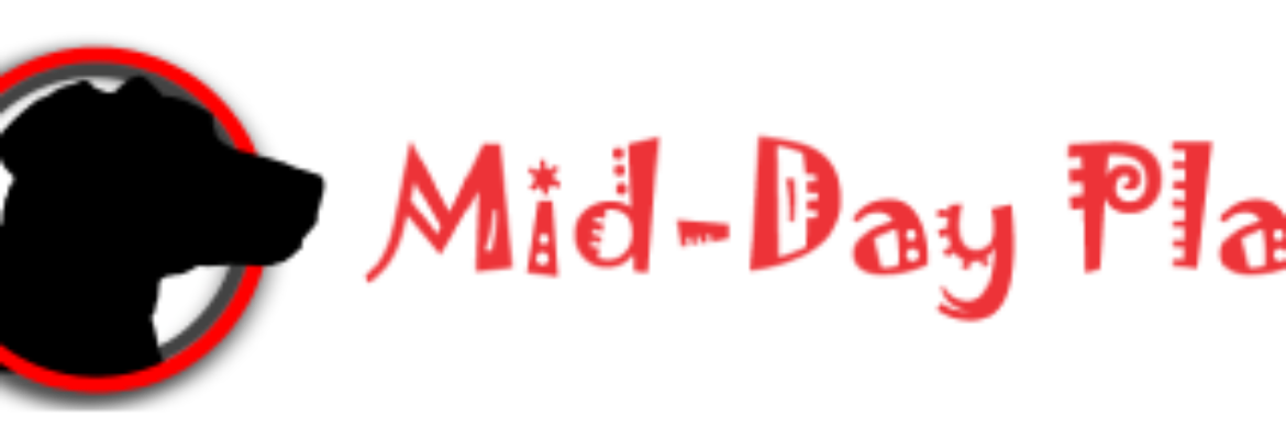 Mid-Day Play Pet Services