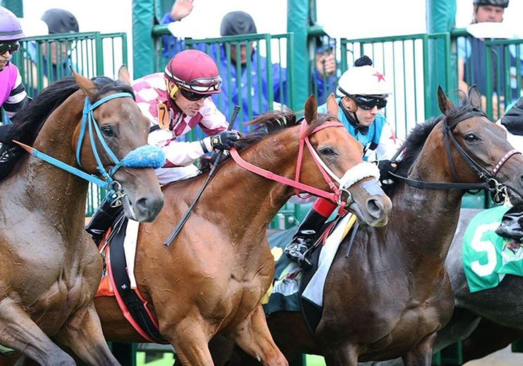 Weekend Warrior - What To Do This Weekend