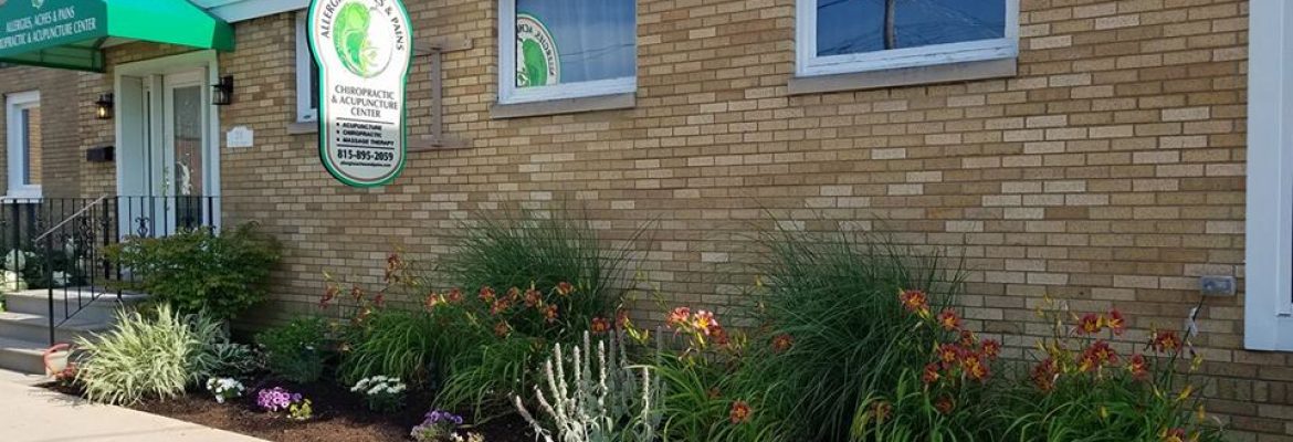Allergies, Aches & Pains Chiropractic & Acupuncture Center