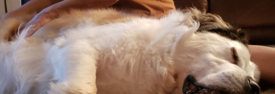 Tails of Tranquility